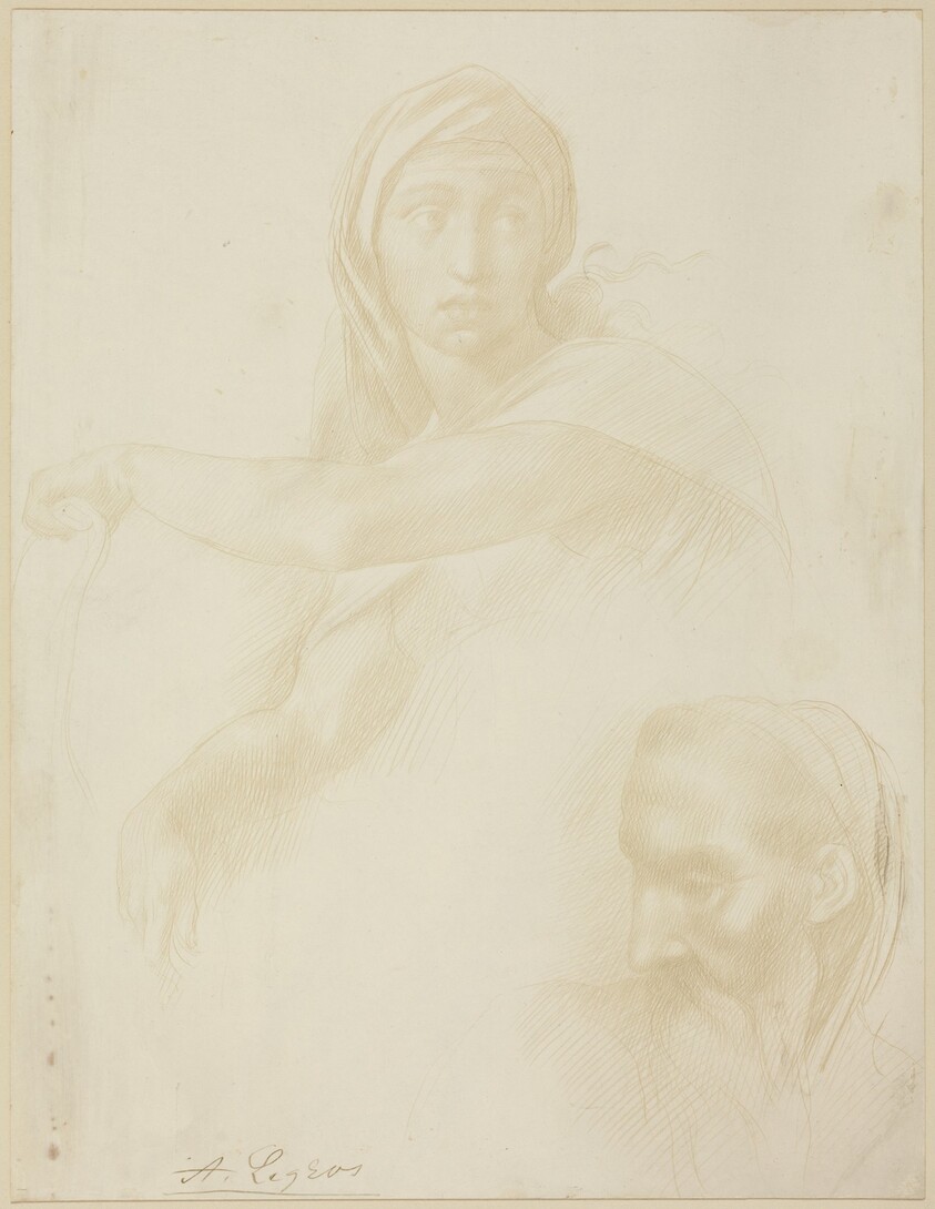 Study of Delphic Sibyl; Head of a Man