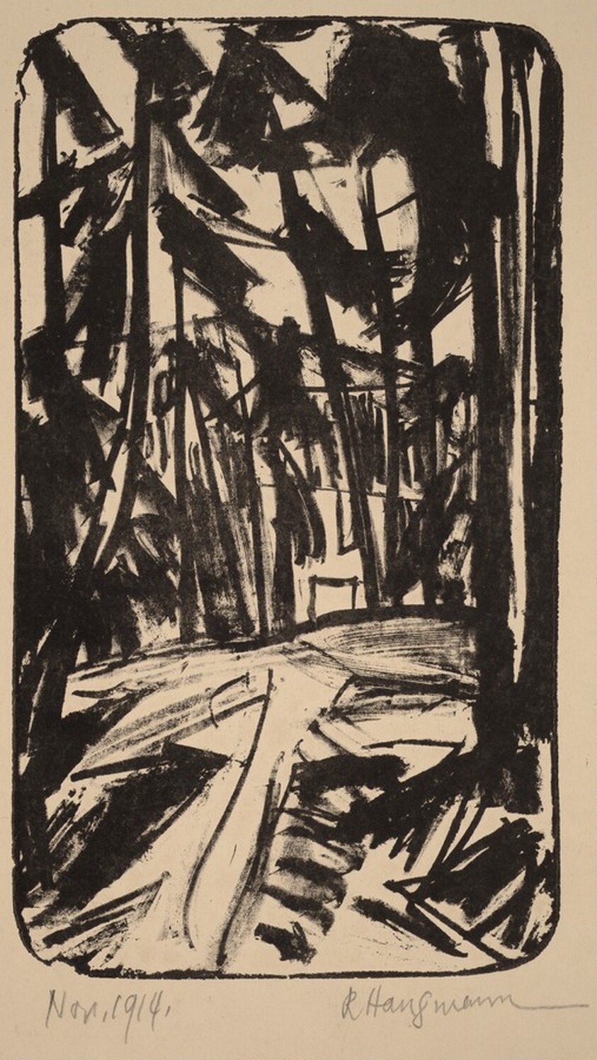 Clearing in the Woods