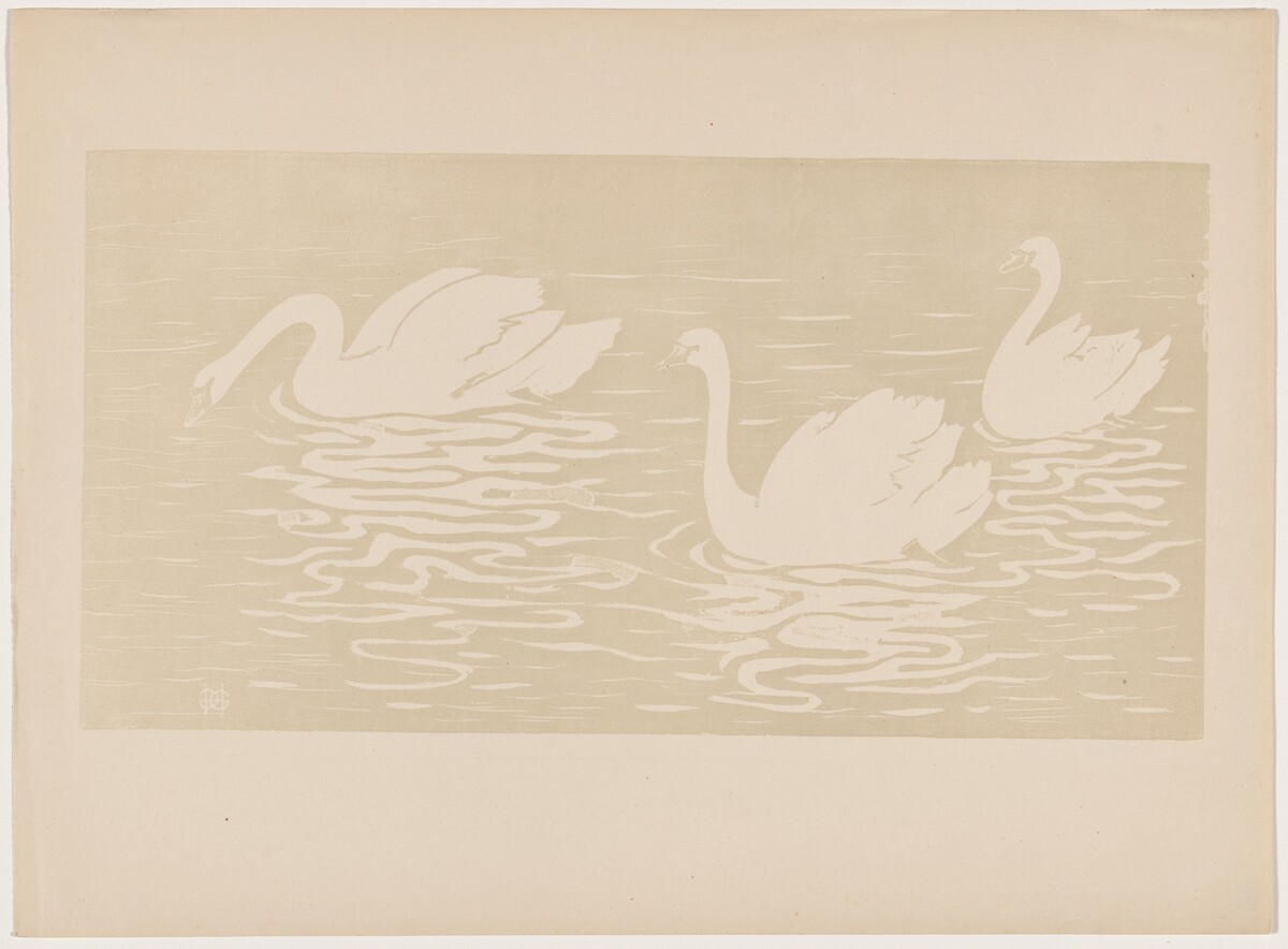 Les cygnes
