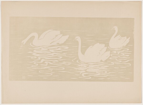 Les cygnes