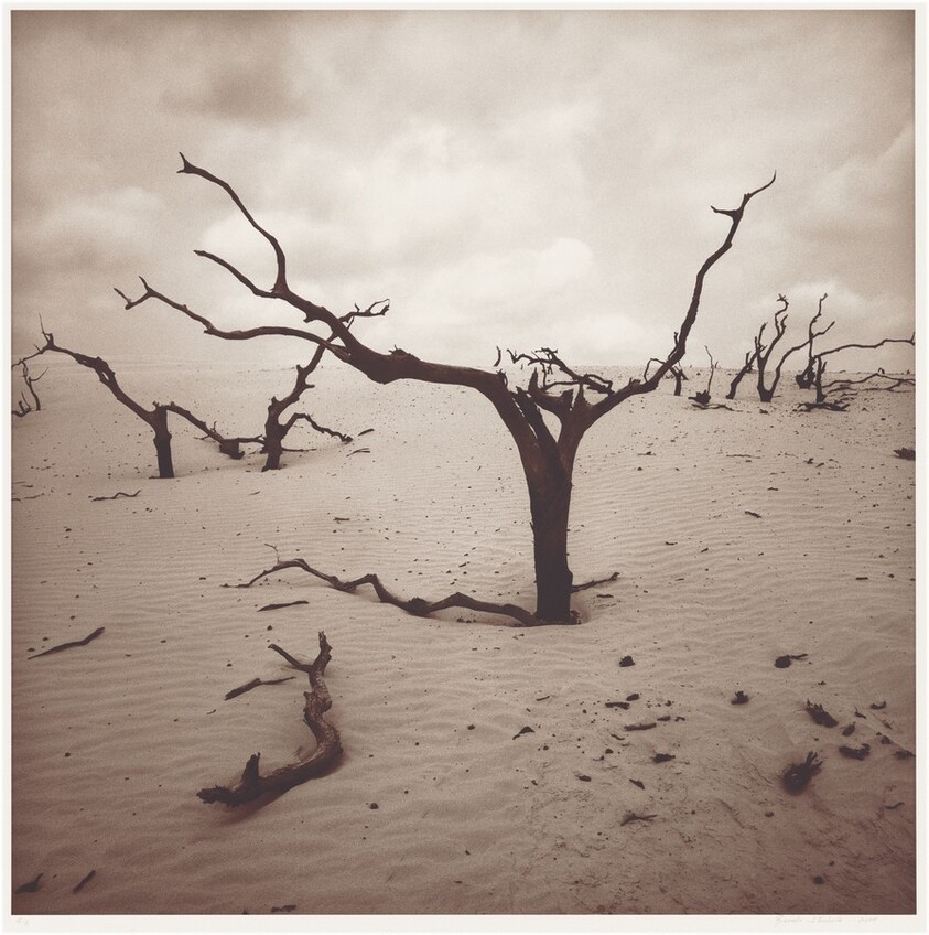 Rancho Santa Gertrudis, Sur de Texas (Santa Gertrudis Ranch, South Texas)