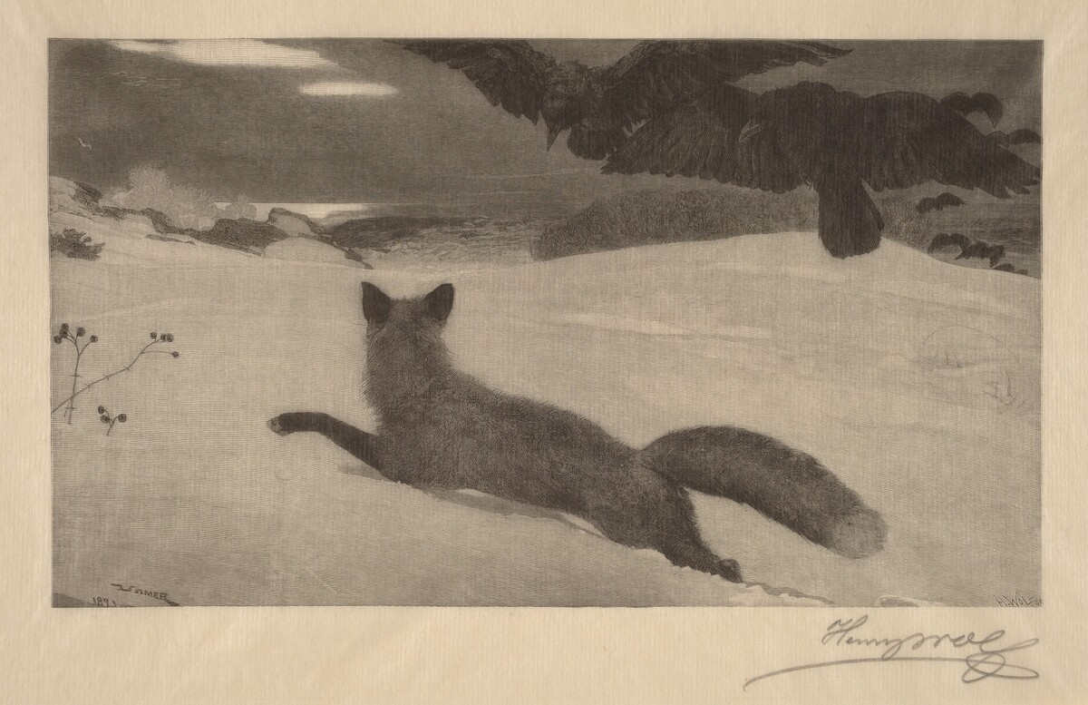 Winter, the Fox Hunt