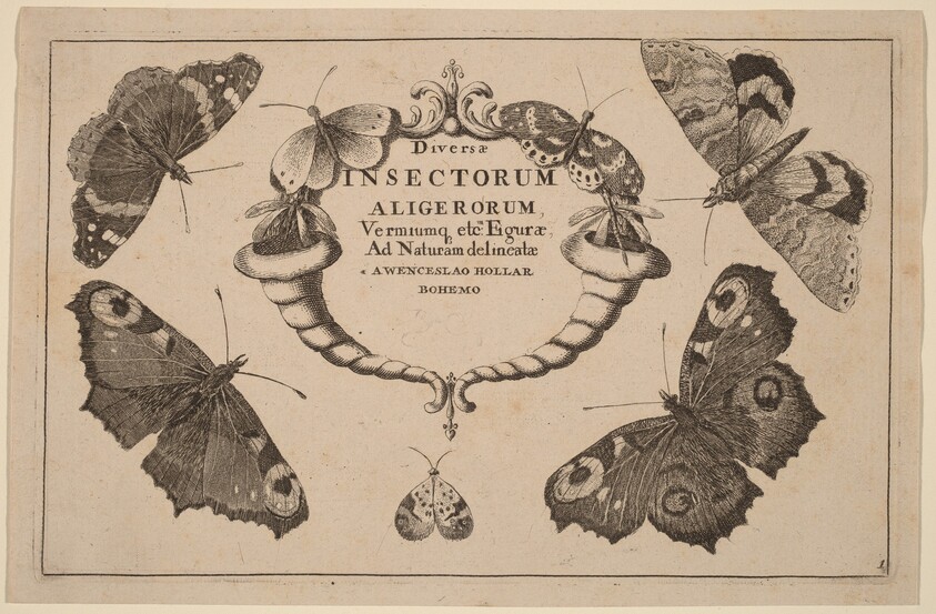 Title Page