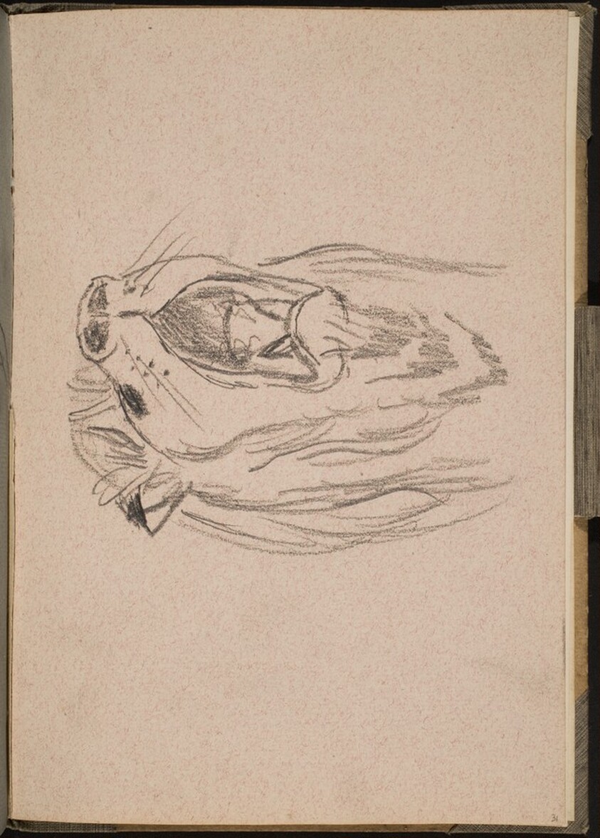 Löwe mit aufgerissenem Maul (Lion Mouth Open) [p. 31]