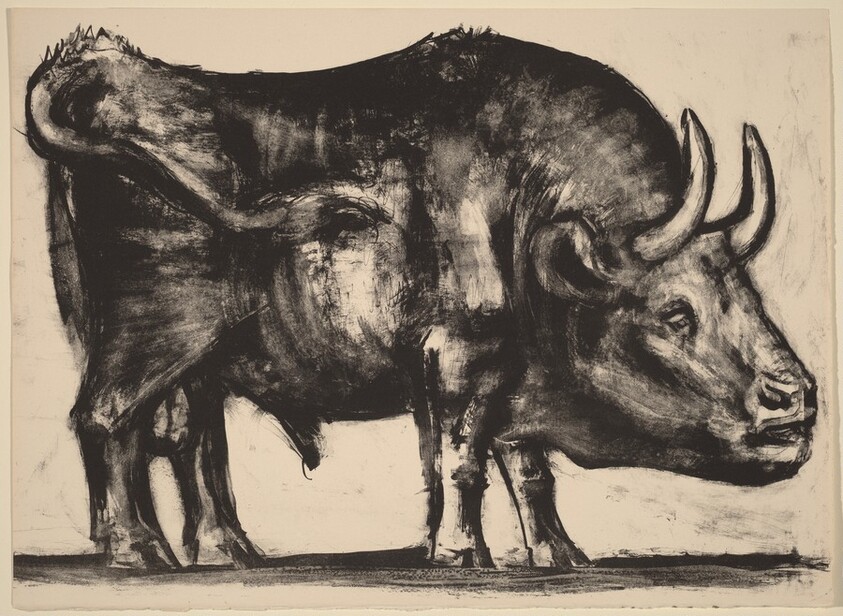 The Bull (Le taureau)