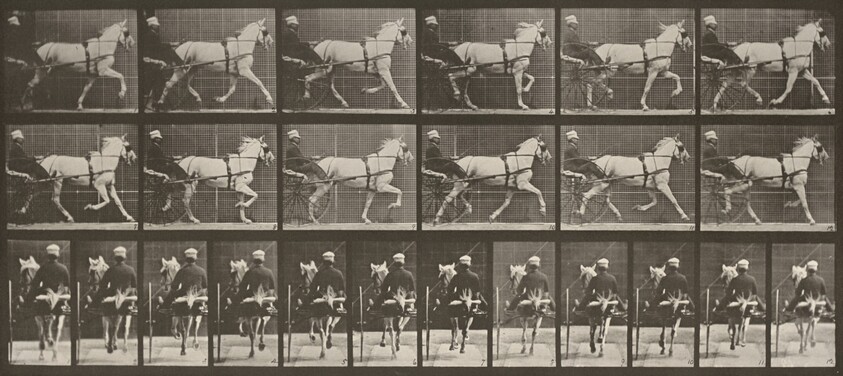 Plate Number 611. "Katydid" trotting, harnessed to sulky