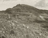 Clearcut and Burned, East of Arch Cape, Oregon, Robert Adams, 1976