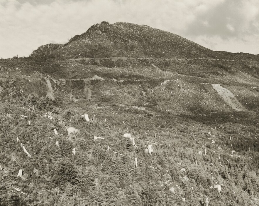 The image shows a mountainous landscape with a variety of vegetation, including dense tree cover and deforested areas with tree stumps. The scene is captured under a cloudy sky, in either black and white or sepia tone. The composition features a prominent mountain peak in the distance. The overall feel is natural and stark, with a monochromatic color palette of black, white, and gray.
