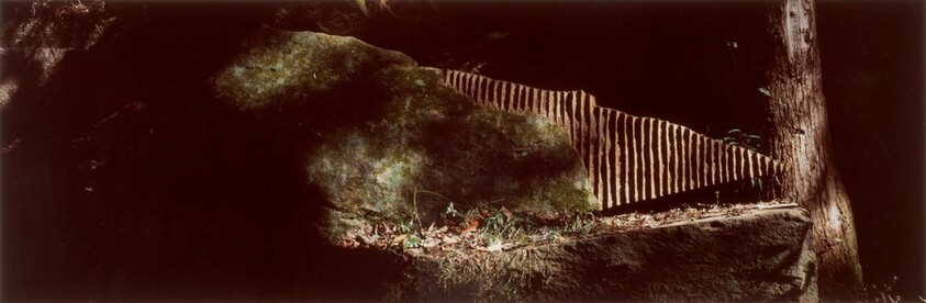 Clay/ Worked into a Stone/ Edges to Catch the Passing Light/ Government Island, Virginia