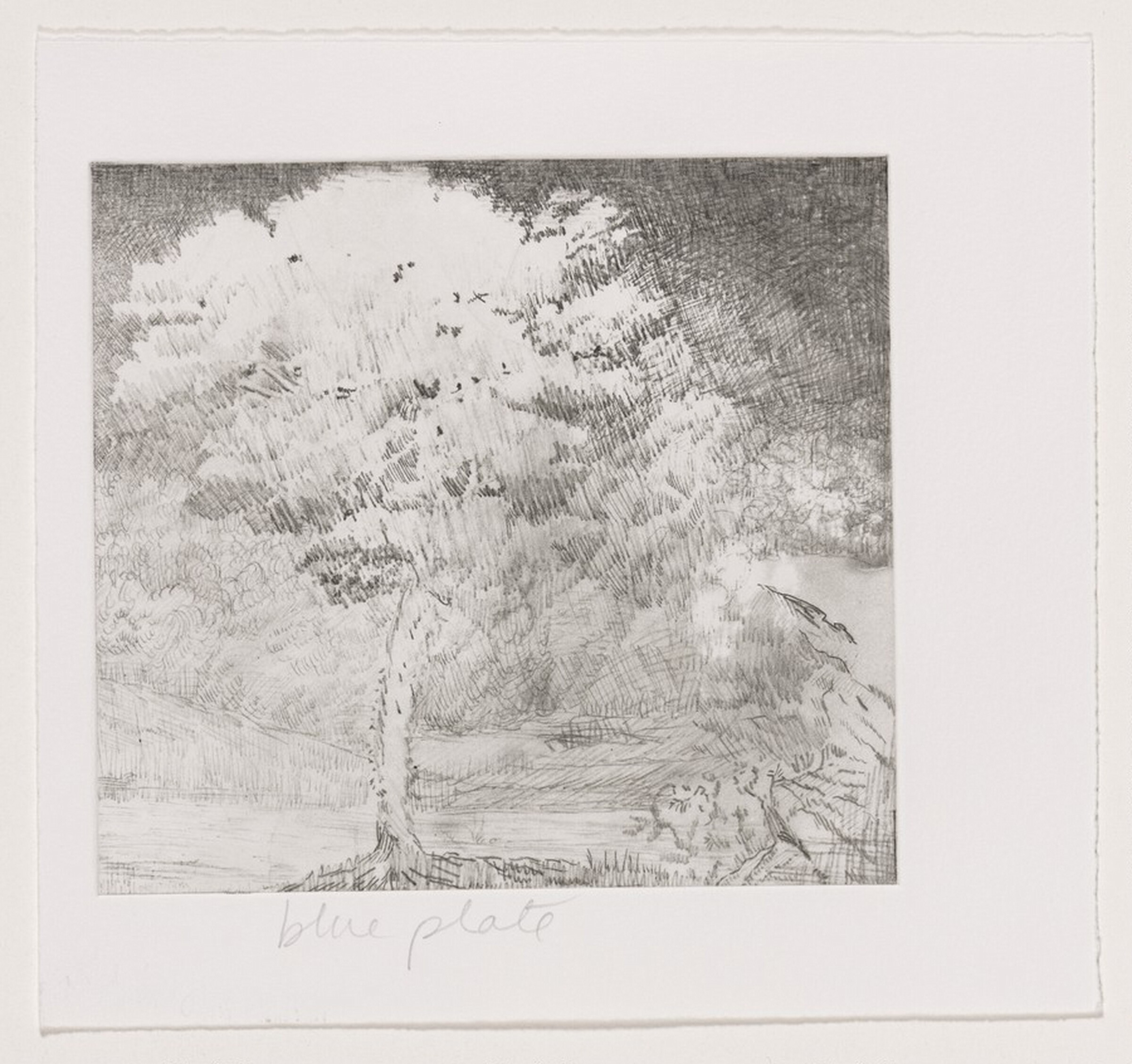 Untitled (#2) [working proof 1c], Joan Nelson, 1999