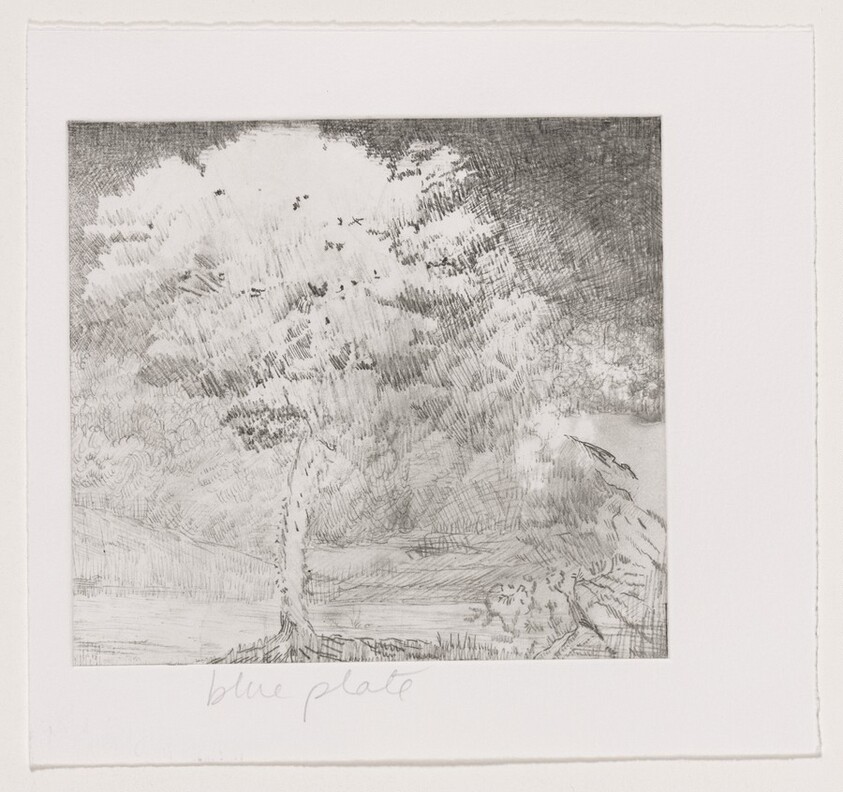 Untitled (#2) [working proof 1c]