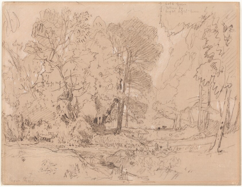 Wooded Landscape