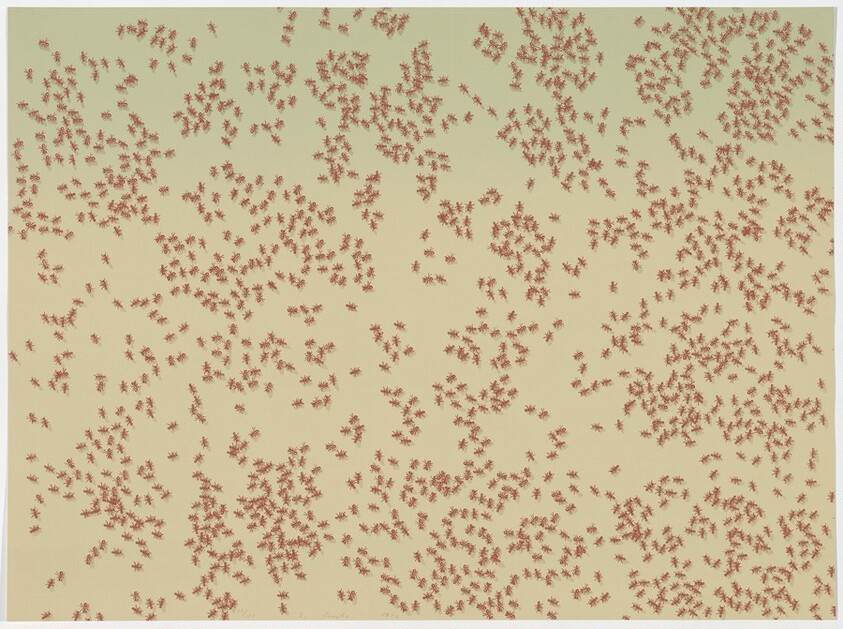 Red Ants from Insects