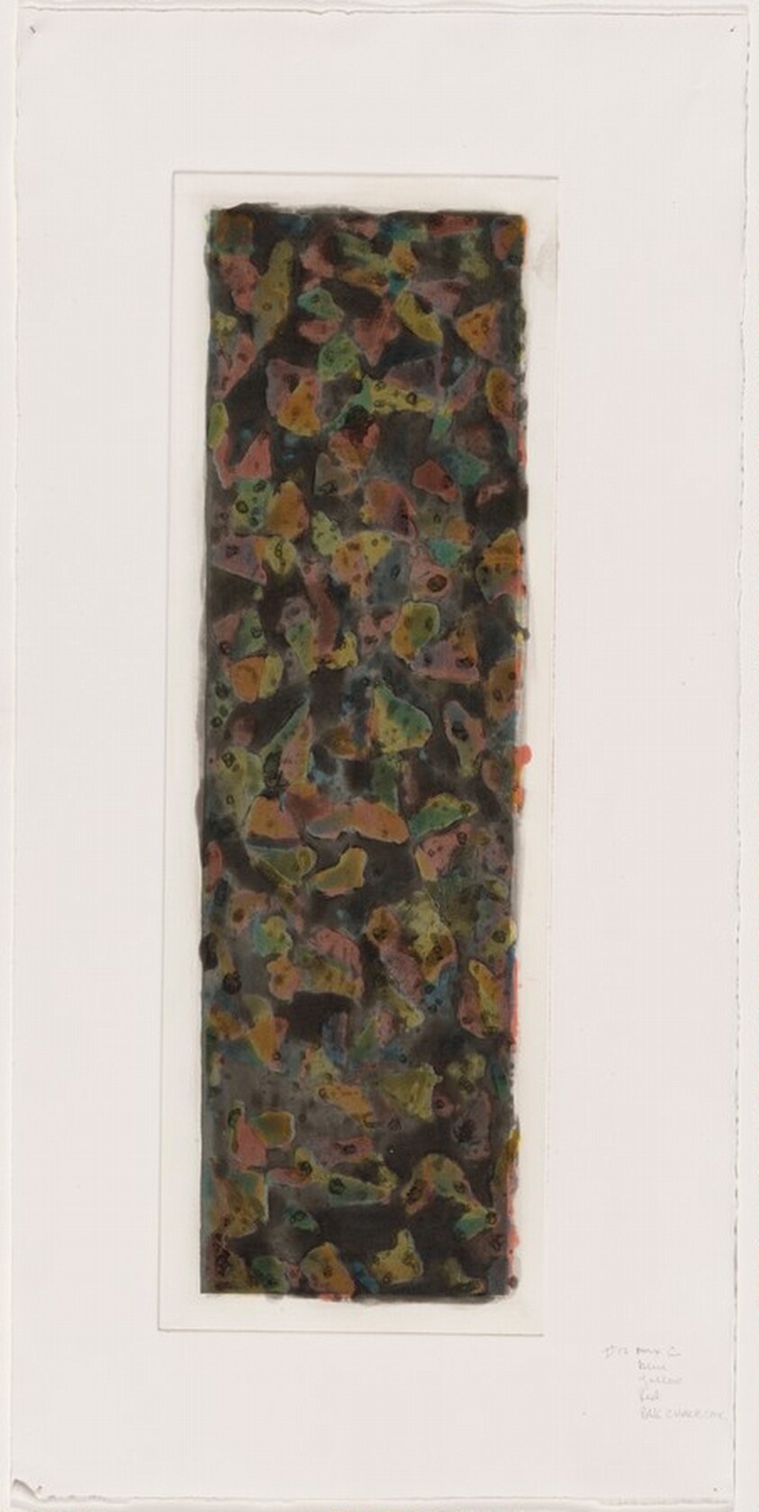 Color & Black, 30 x 17, No. 1 [working proof 10]