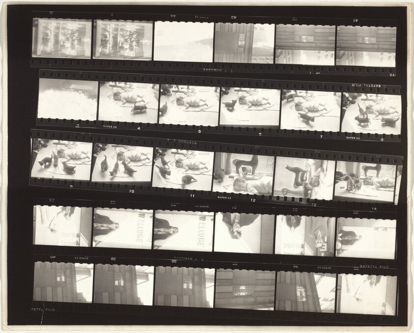 Family--New York City no number