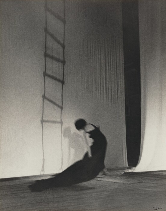 This is a photograph of an indoor scene featuring a flowing dark form and stark shadows. The image captures a blurred, flowing shape that seems to be in motion across a backdrop of vertical curtains or drapes. A shadow ladder is prominently cast on the light-colored backdrop on the left side. The harmonious contrast between light and shadow, sharp lines, and soft motion creates a striking visual effect.