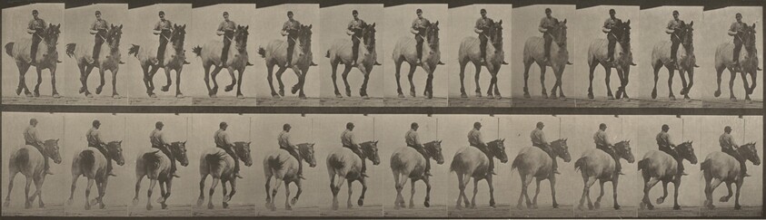 Plate Number 600. "Dusel" trotting, bareback