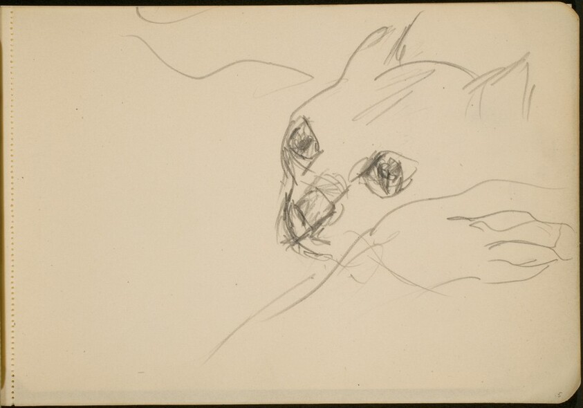 Studie einer Katze (Study of a Cat) [p. 5]