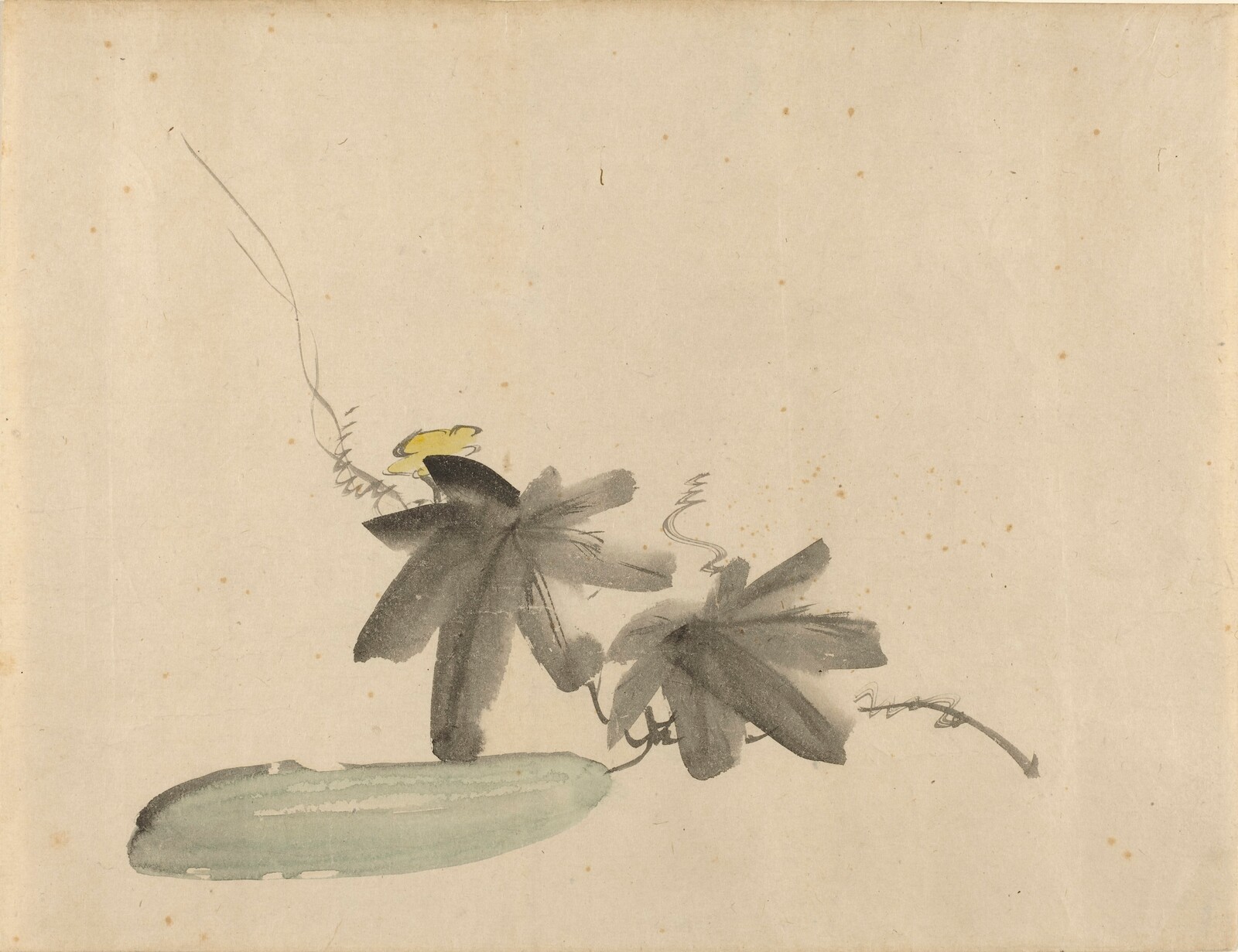 Cucumber with Leaves, Edouard Manet, c. 1880