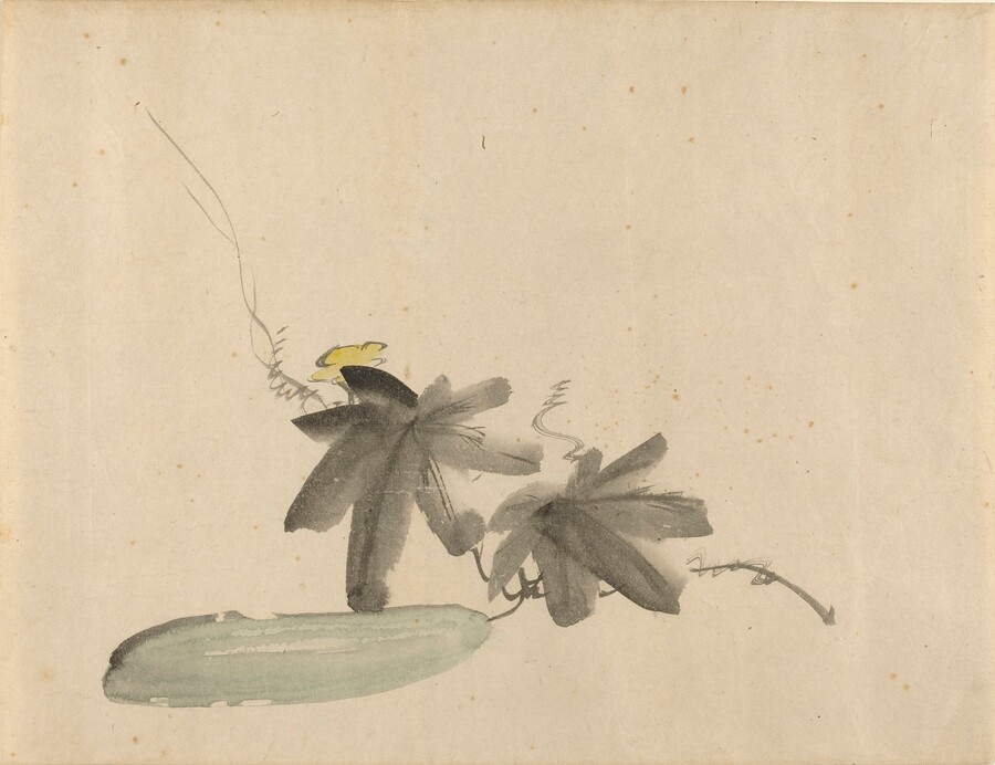 Cucumber with Leaves