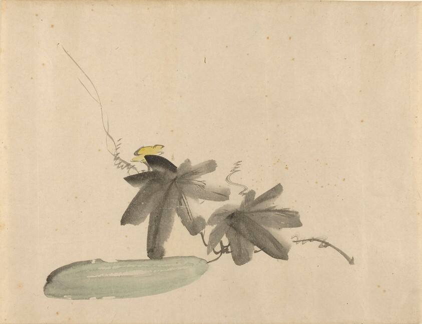 Cucumber with Leaves