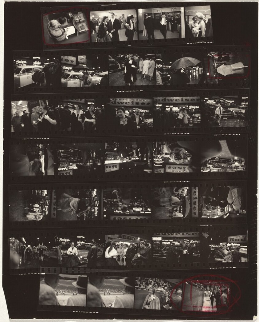 Horse show opening 1