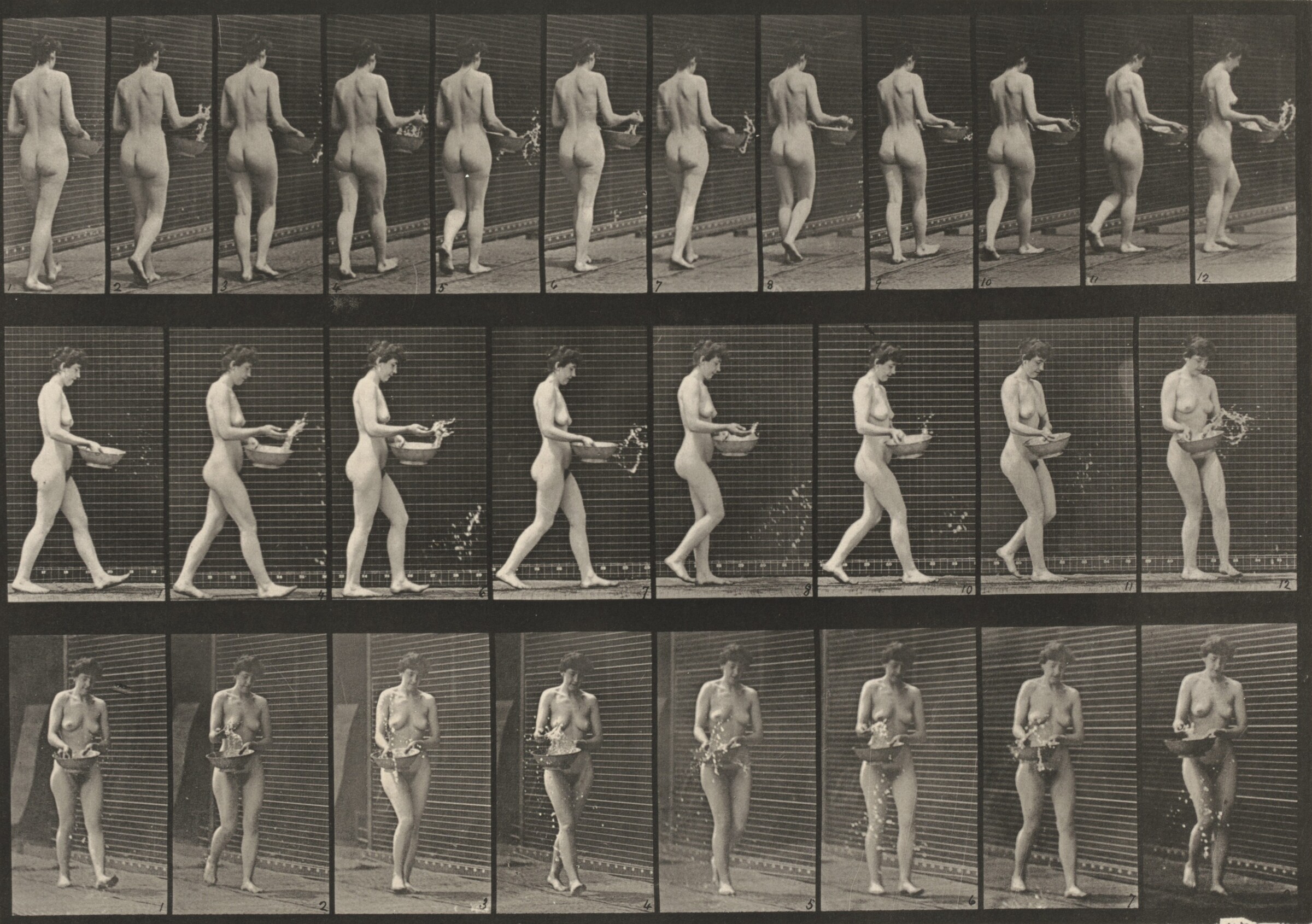 Plate Number 43. Walking, sprinkling water from a basin and turning around, Eadweard Muybridge, 1887