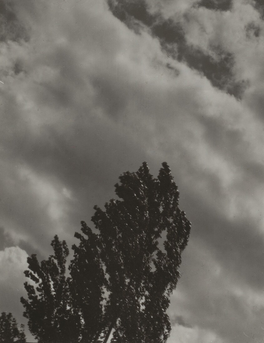 Portrait—K.N.R., No. 1 or Songs of the Sky C1