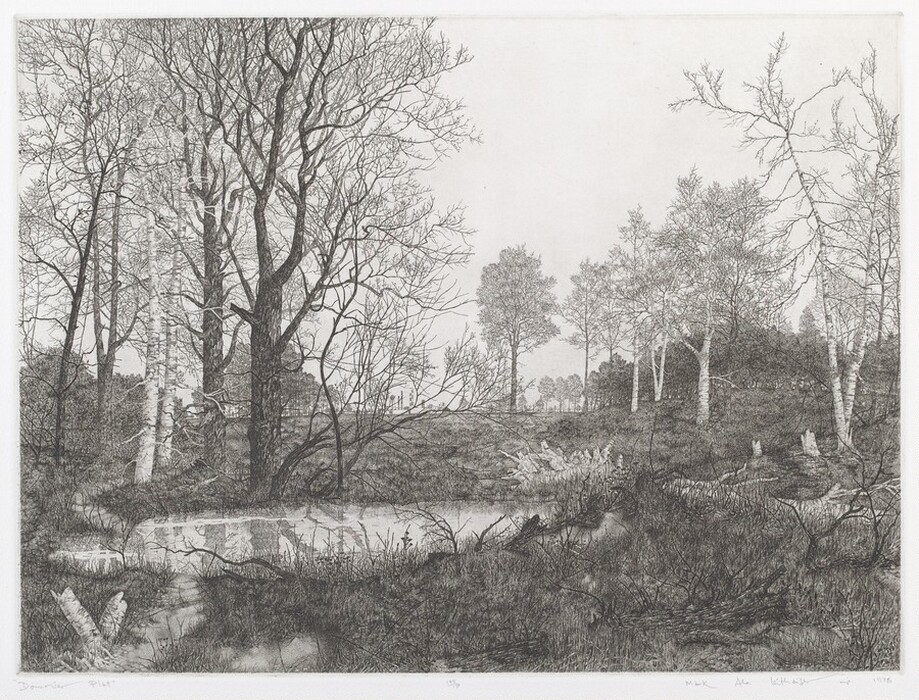 The image shows a landscape with trees, grasslands, and a horizon blending into the sky. There are detailed, leafless trees to the left, with fine details in the brushstrokes capturing textures of tree bark and grass. The color palette is monochromatic, emphasizing textures and lines in black and white. A reflective water body is nearby, contrasting with the surrounding vegetation. Trees extend into the distance, suggesting a large woodland area.