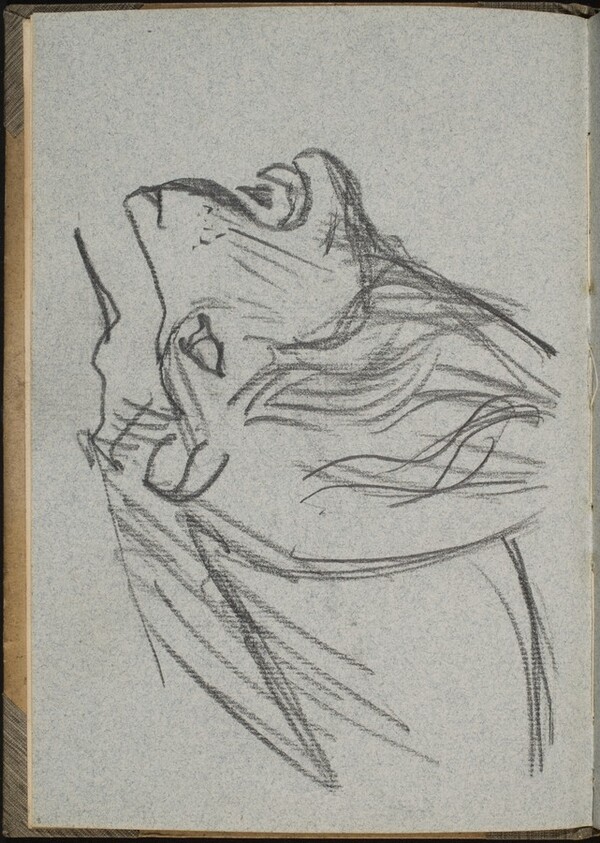 Löwenkopf im Profil (Double Lion Profile) [p. 8]