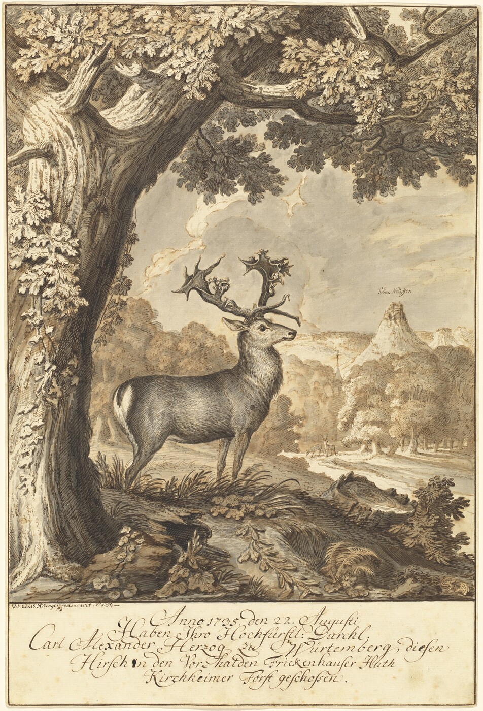 The illustration features a stag standing on a patch of grass and foliage. The perspective is such that the viewer looks slightly upwards at the stag. Above the stag is the horizon, showing a rocky outcrop or hill against the sky in the distance. The image has a detailed, monochromatic palette with shades of brown, beige, and gray. The fur of the stag, tree trunk, and leaves show cross-hatching and delicate lines for texture and depth. The sky is gray with a few clouds, enhancing the earthy tones of the landscape. The detailed illustration aims to capture the natural elegance of the forest scene realistically.