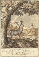A Stag beneath a Mighty Oak, Johann Elias Ridinger, 1735