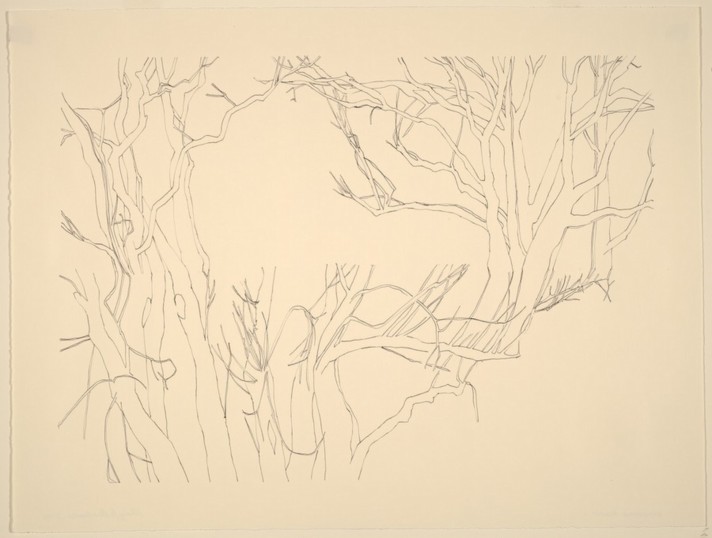 Snokomo Road, Sheigla Hartman, 1974