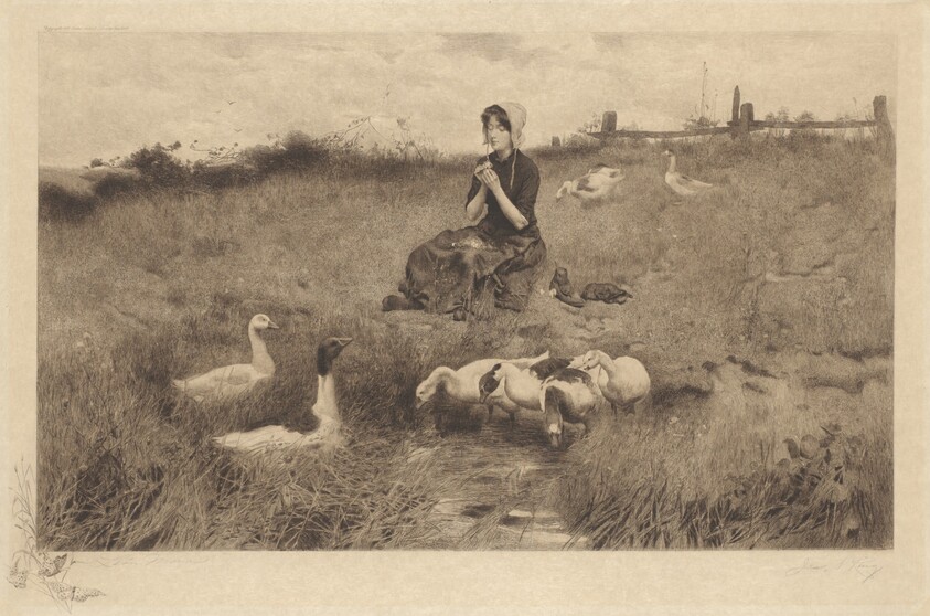 Untitled (Love Me, Love Me Not)