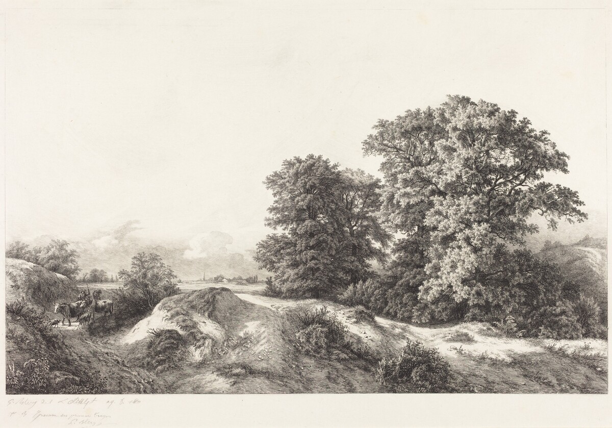 Oaks in the Vaux de Cernay