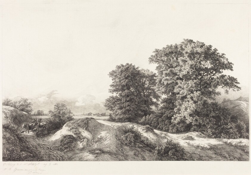 Oaks in the Vaux de Cernay