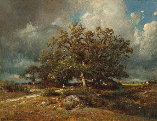 The Old Oak