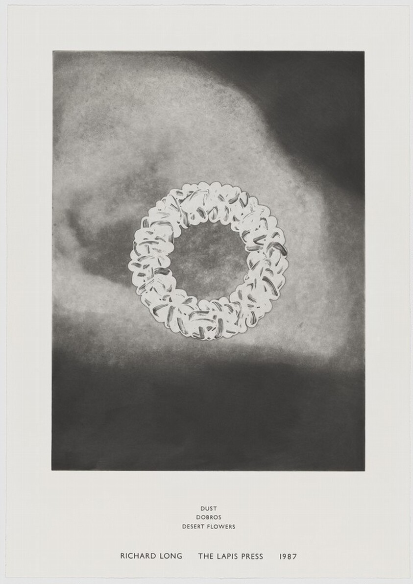 Dust, Dobros, Desert Flowers