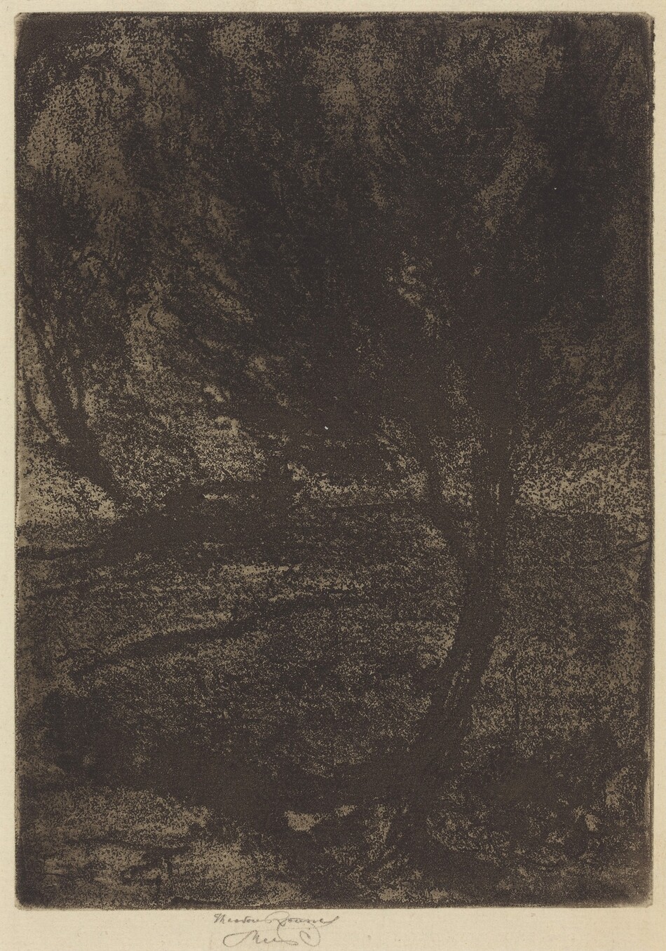 The image features a tree with branches extending widely across the canvas. The view is from a slightly lower angle, emphasizing the tree's prominence. The horizon is obscured by dense foliage, blending into suggestions of other trees and land. The brushstrokes are stippled, creating a textured effect. The color palette is dark, mainly blacks and browns. The tree bark and undergrowth are textured, contributing to a thick setting. Lighter tones are absent, enhancing the somber mood.
