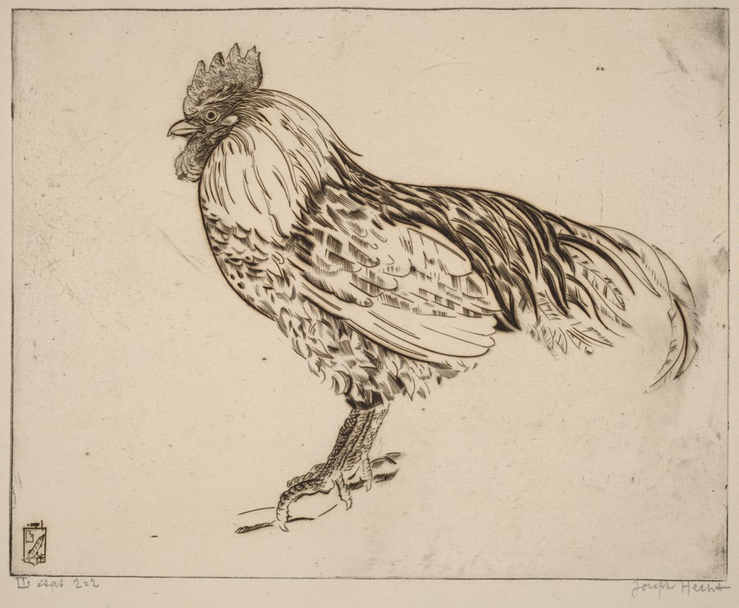 My Cock (Mon coq), Joseph Hecht, c. 1944 - 1946