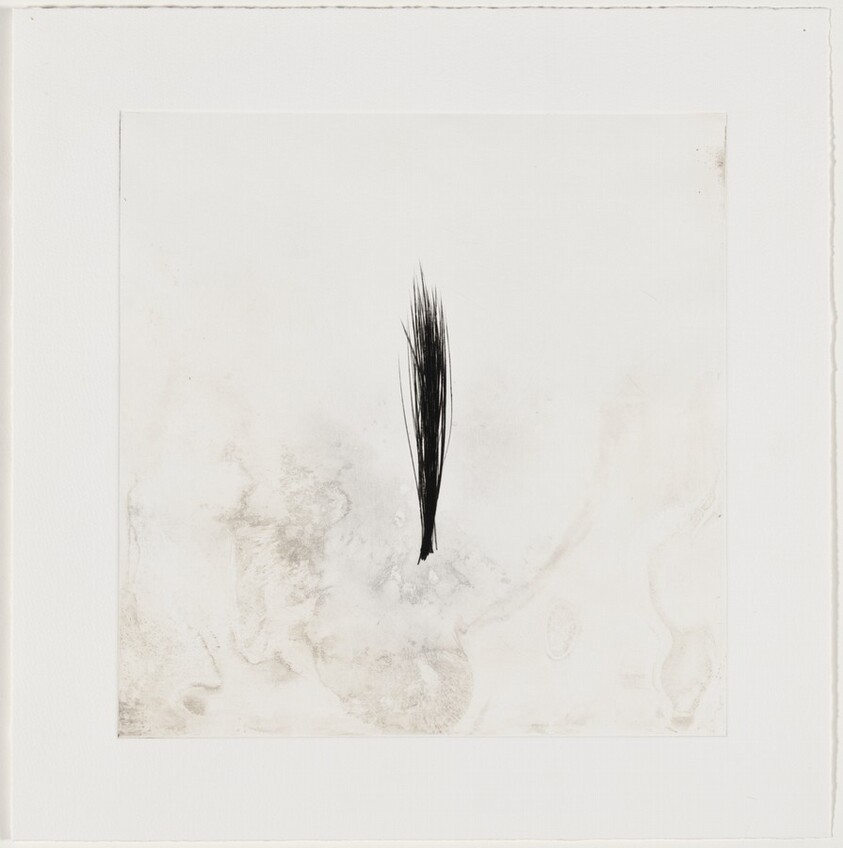 New Growth [working proof 1]