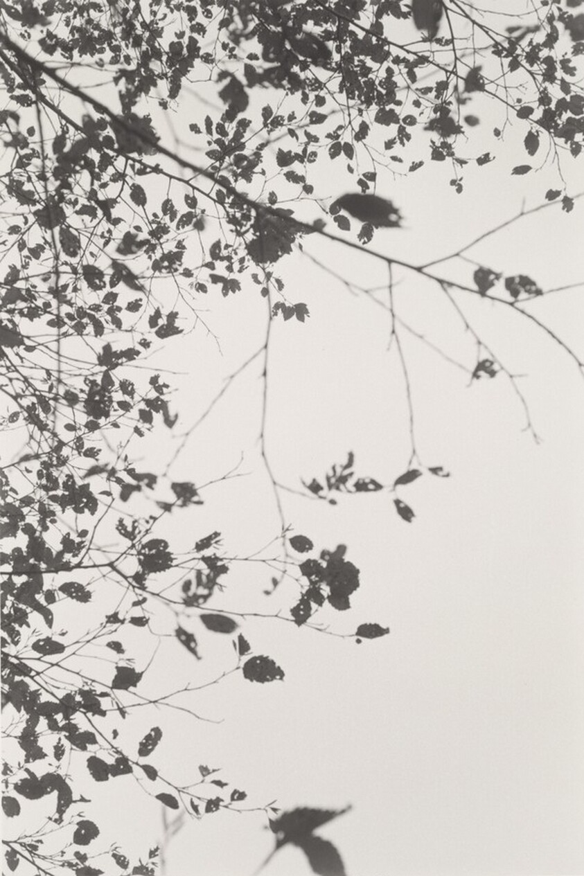 Neahkahnie Mountain, Oregon