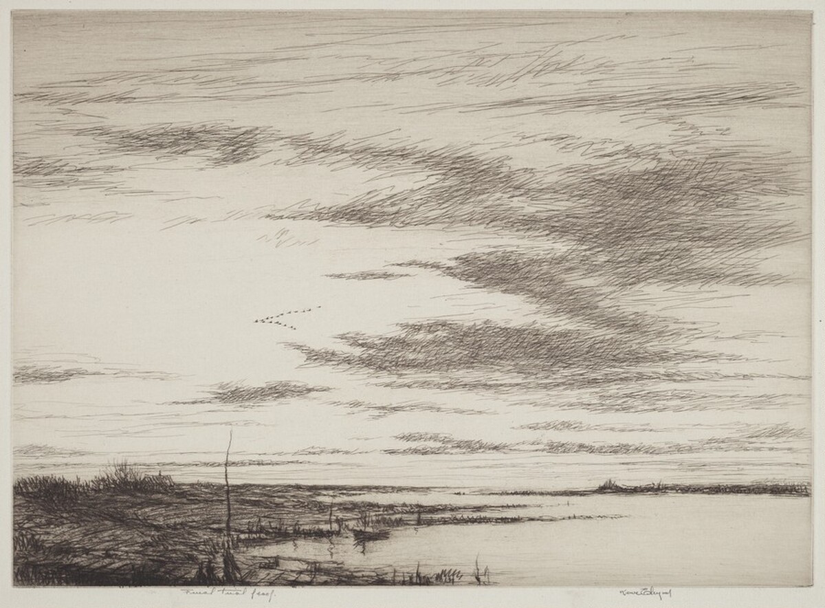 Salt Marshes