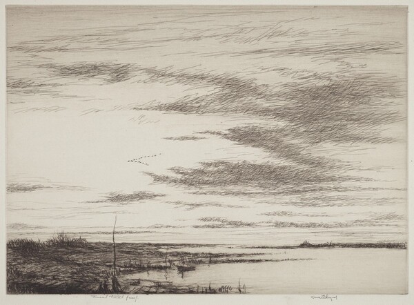Salt Marshes