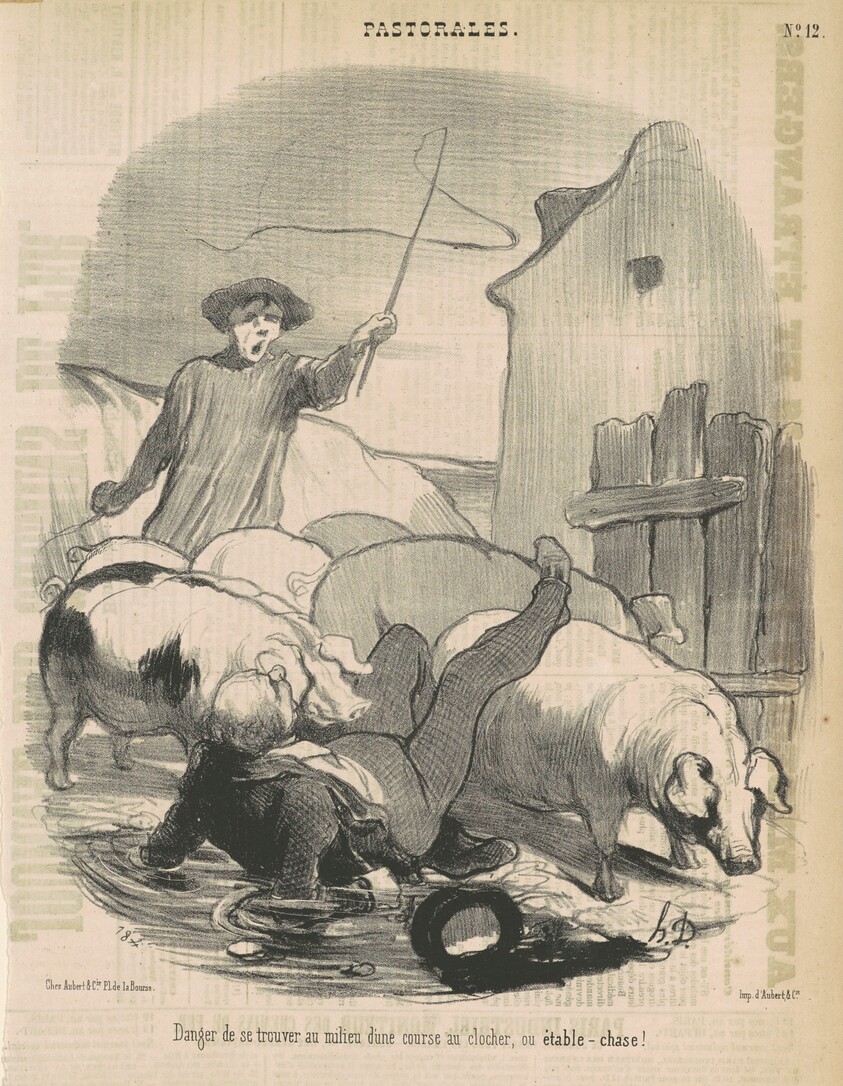 Danger de se trouver au milieu d'une course au clocher