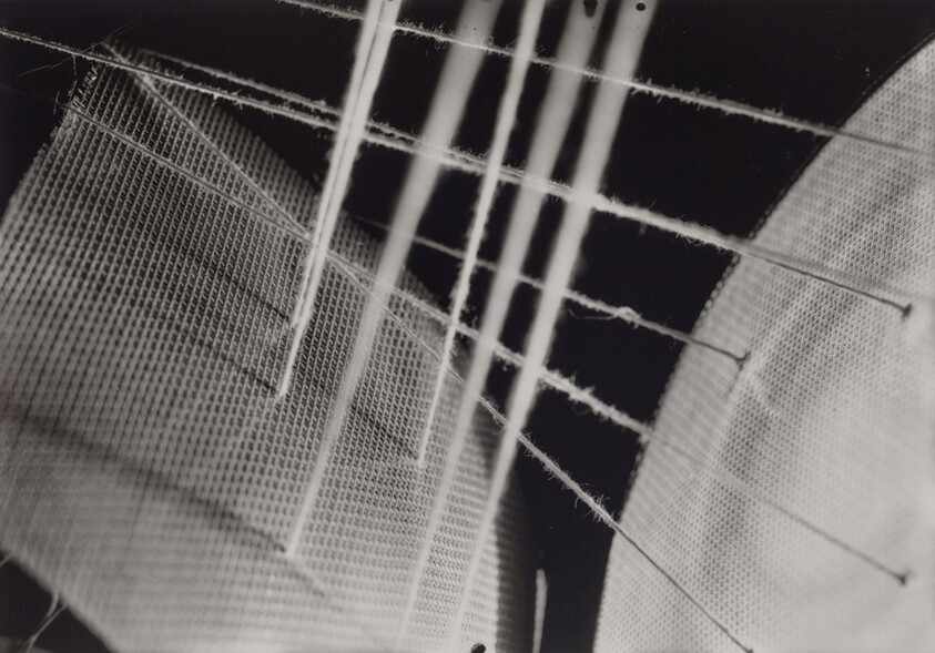 Untitled, String and Light Box