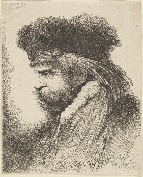 The image is a portrait showing the head and part of the upper body of a person in profile, facing to the left. The individual has strong facial features, including a prominent nose and a thick mustache. The face is framed by textured facial hair that covers the jawline and chin. The person's hair is long and flowing from under a large hat. The hat has a fur-like brim and a flat top with notable texture. The individual wears a garment with a patterned collar. In the background, there is intricate line work indicating depth and shading, with no specific objects or elements defined.
