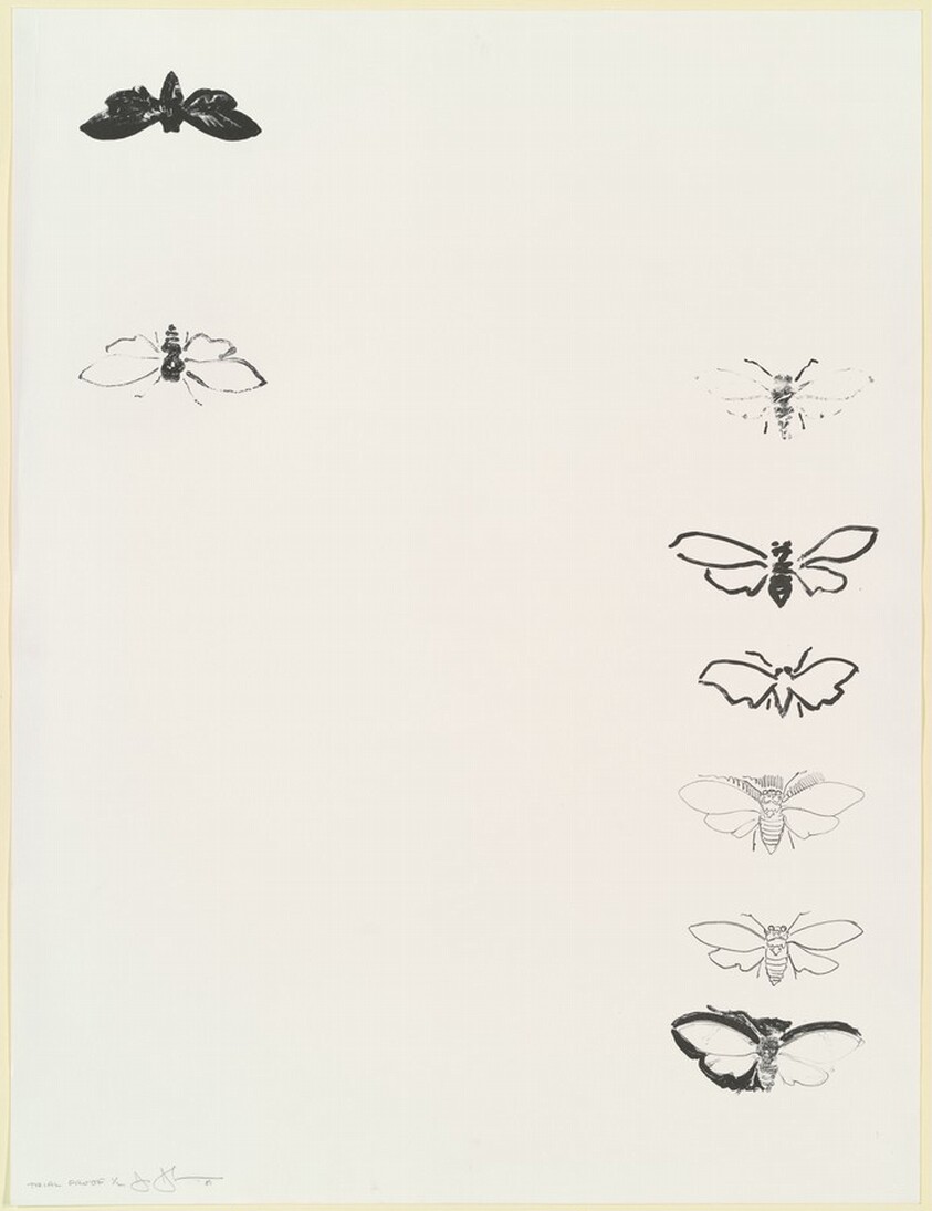 Cicada [trial proof]