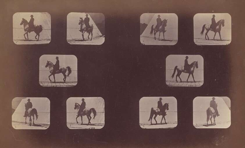 Studies of Foreshortenings. Horses. Walking. Mahomet. Nos. 119-120