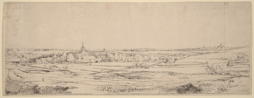 Landscape with a View Toward Haarlem (The Goldweigher's Field)